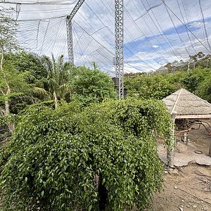 Walk-through Aviary