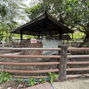 Cassowary Exhibit #2