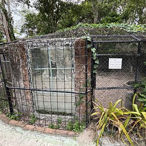 Spotted Hyena Exhibit