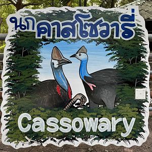 Cassowary Sign