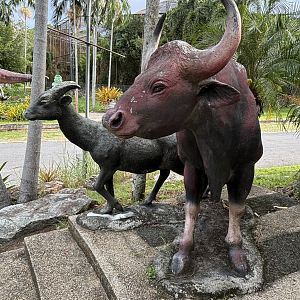 Animal Statues