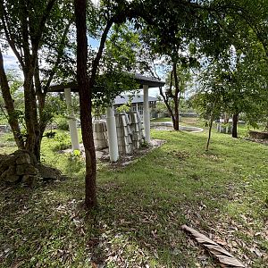 Malayan Tapir Exhibit #2 (New in 2024)