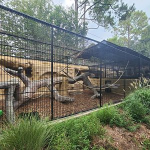 Baton Rouge Zoo - Macaque enclosures