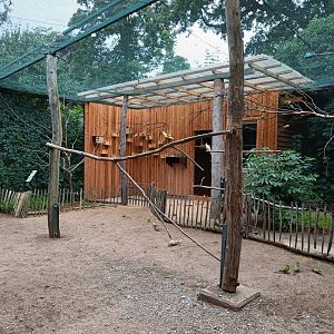 Australian walkthrough aviary