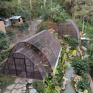 Rumpun Chanaya - Mini Zoo