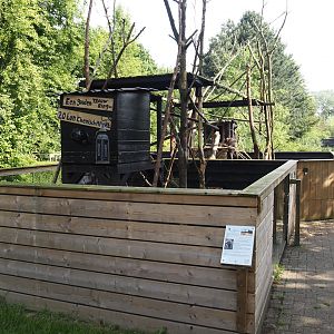 North American porcupine exhibit, 2024-05-11