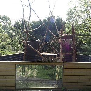 North American porcupine exhibit, 2024-05-11