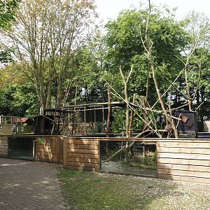 North American porcupine exhibit, 2024-05-11
