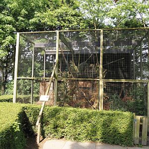 Tayra exhibit, 2024-05-11