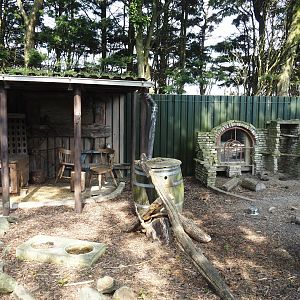 Black-tailed prairie dog exhibit, 2024-05-11