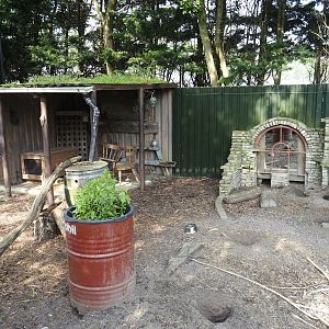 Black-tailed prairie dog exhibit, 2024-05-11