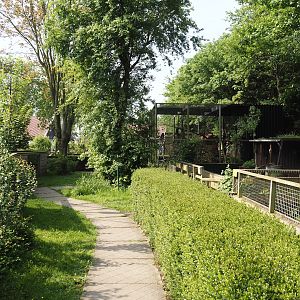Park view between Striped skunk exhibit and Greater flamingo pond, 2024-05-11