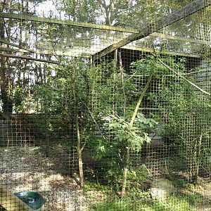 Ferruginous hawk aviary, 2024-05-11