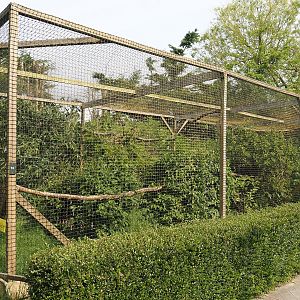 Eurasian eagle owl aviary, 2024-05-11
