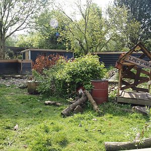 Asian small-clawed otter exhibit, 2024-05-11