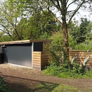 Asian small-clawed otter barn, 2024-05-11