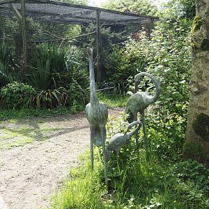 Crane statues and Chaco owl aviary, 2024-05-11