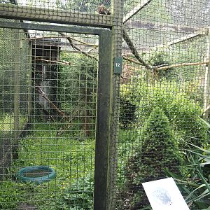 Chaco owl aviary, 2024-05-11