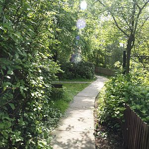 Walkway near the corsac fox exhibit, 2024-05-11