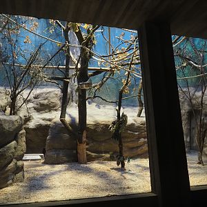 Former Hamlyn's monkey exhibit repurposed to Golden-headed lion tamarin exhibit, 2024-08-28