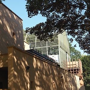 Side of the hippo house, with construction of new visitor bridge as part of upper viewing area, 2024-08-28