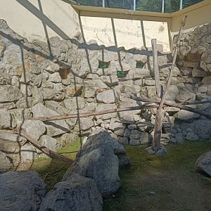 Rock Hyrax and Gundi outdoor enclosure - Tierpark Wittenberg