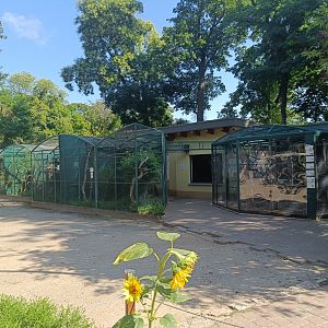 Primate House - Tierpark Wittenberg