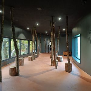 View in new Orangutan-Haus