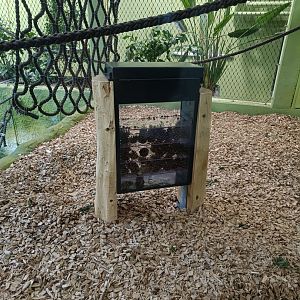 Pinecone enrichment for Sumatran Orangutans - new Orangutan-Haus