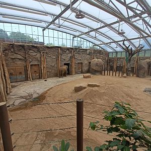 African Elephant indoor enclosure - Afrika-Haus