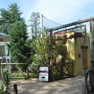 Trail of the Jaguar - Entrance