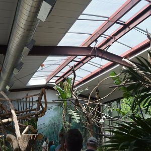 Harmony Hideaway - Overview