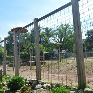 Savanna Station - Exhibit