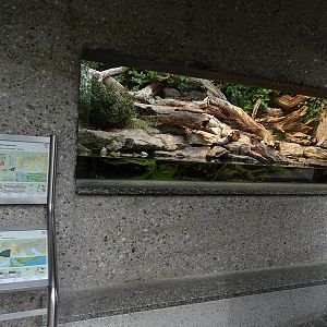 Terrarium for viperine water snake and aesculapian snake