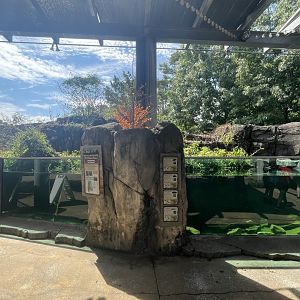 Birmingham Zoo- Entrance aquarium