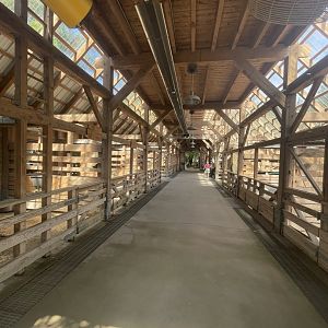 Birmingham Zoo- Children’s Zoo- Barn interior