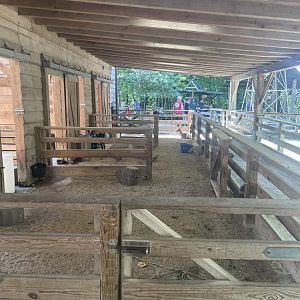 Birmingham Zoo- Children’s Zoo- Goat and pig pens