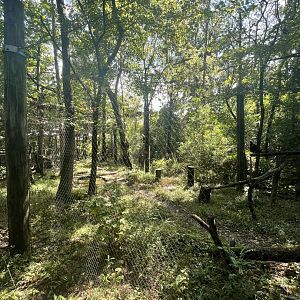 Birmingham Zoo- Wilds of Alabama- Golden eagle aviary