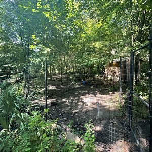 Birmingham Zoo- Wilds of Alabama- Sandhill crane exhibit