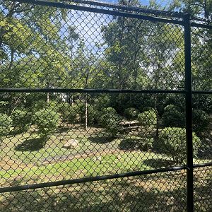 Birmingham Zoo- Wilds of Alabama- Black bear exhibit