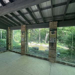 Birmingham Zoo- Wilds of Alabama- Black bear viewing cabin