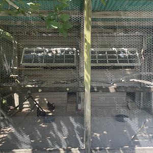 Birmingham Zoo- Wilds of Alabama- Chicken coop