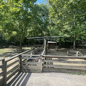 Birmingham Zoo- Wilds of Alabama- Donkey, goat, and sheep pens