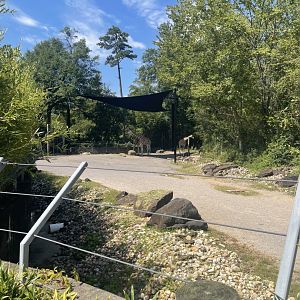 Birmingham Zoo- Trails of Africa- Giraffe, ostrich, and zebra exhibit