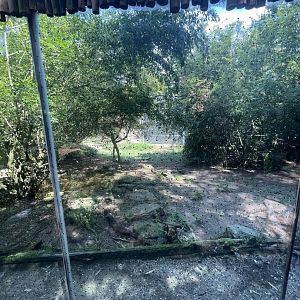 Birmingham Zoo- Cat House- Coyote exhibit