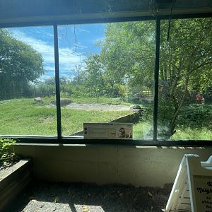 Birmingham Zoo- Cat House- Former lion exhibit (now empty)