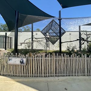 Birmingham Zoo- Primate House- DeBrazza’s monkey outdoor exhibit