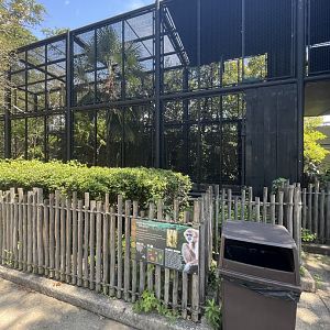 Birmingham Zoo- Primate House- White-handed gibbon exhibit