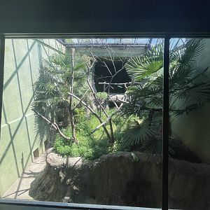 Birmingham Zoo- Primate House- DeBrazza’s monkey and Cape porcupine exhibit
