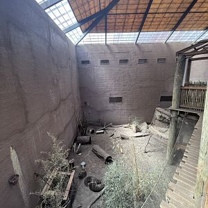 Birmingham Zoo- Primate House- Giant otter exhibit